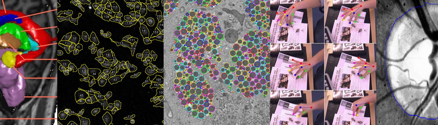 Imaging science collage